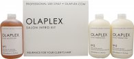 Click to view product details and reviews for Olaplex gift set 525ml bond multiplier no1 2 x 525ml bond perfector no2 applicator.